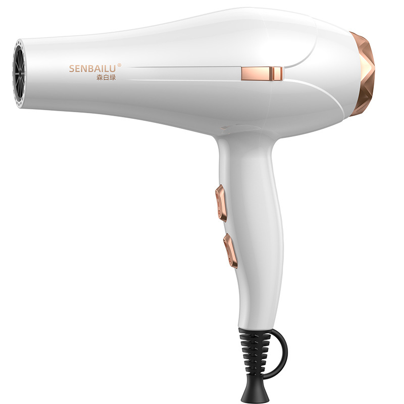 11 Second Fast Dry Hair Dryer  - Cold Air Diffuser Nebulizer 评论和价格