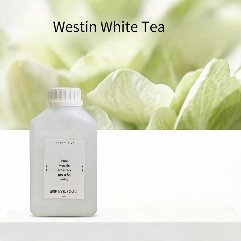 500ml Essential Oil For Hotel  - Essential Oil Diffuser 500Ml 评论和价格