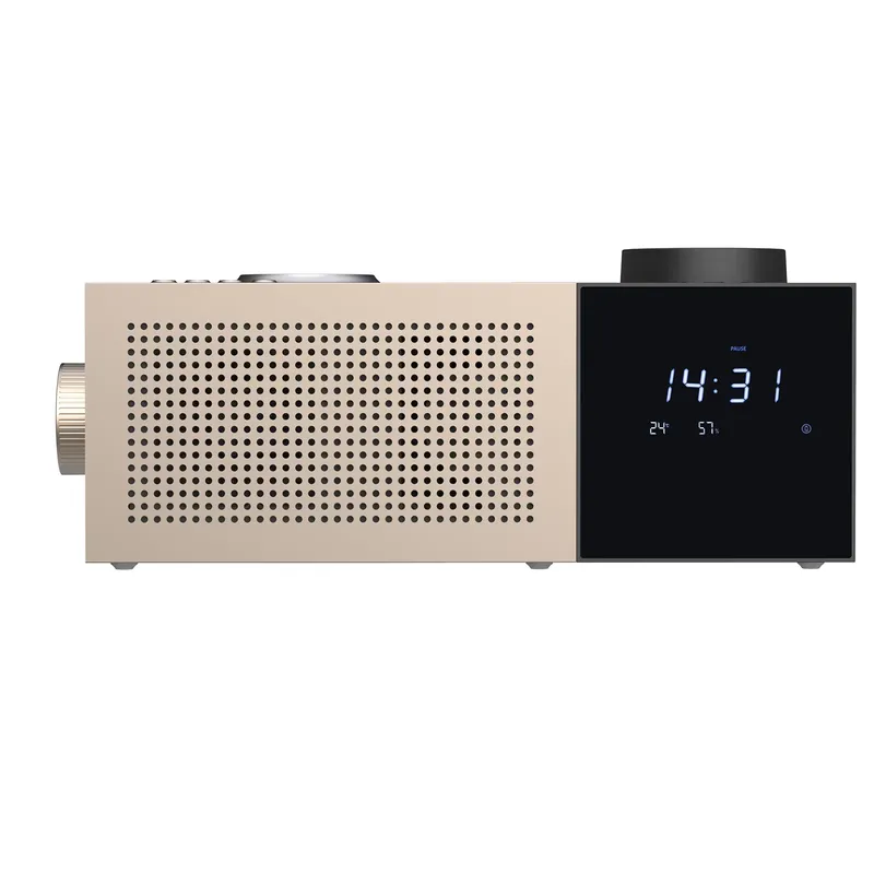 2025 Smart Bluetooth Speaker w - Smart Aroma Diffuser Wifi App 评论和价格