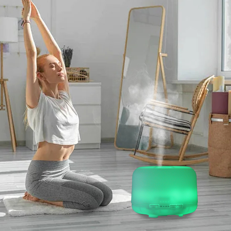 500ML Air Humidifier Essential - Essential Oil Diffuser Humidifier Combo 评论和价格