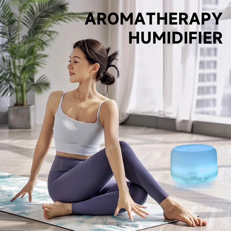 500ML Air Humidifier Essential - Essential Oil Diffuser Humidifier Combo 评论和价格