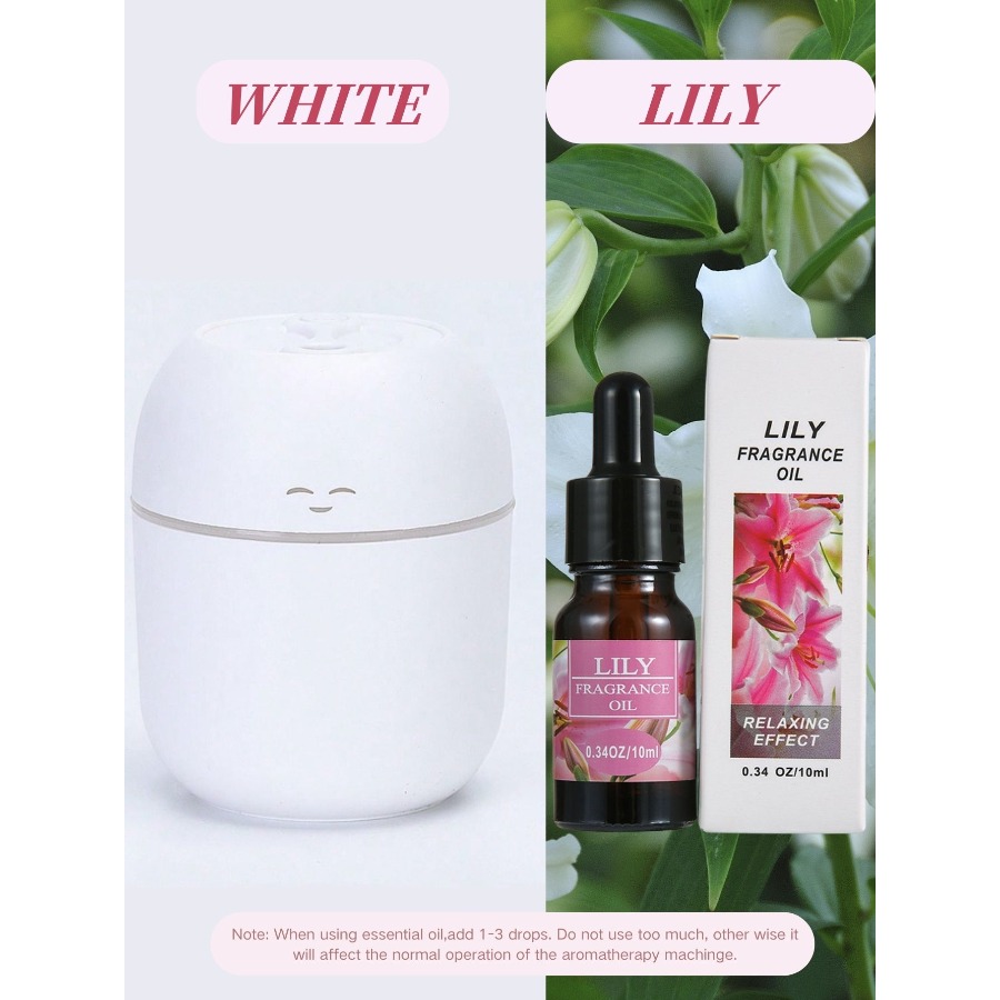 220ML USB Mini Aroma Diffuser  - Cold Air Diffuser Nebulizer 评论和价格