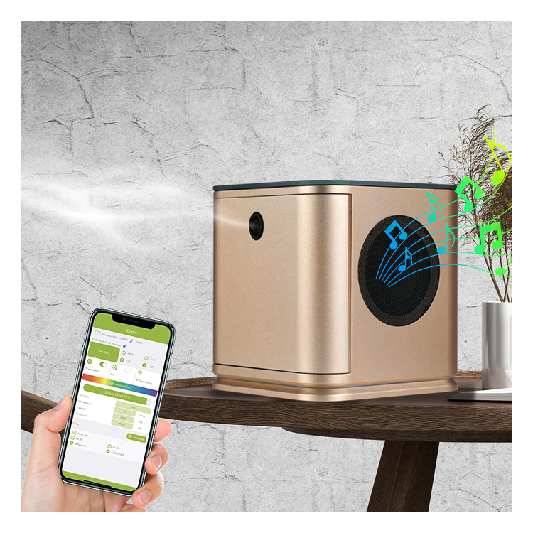 Luxury Air Quality Appliances  - Aroma Diffuser Bluetooth Led 评论和价格