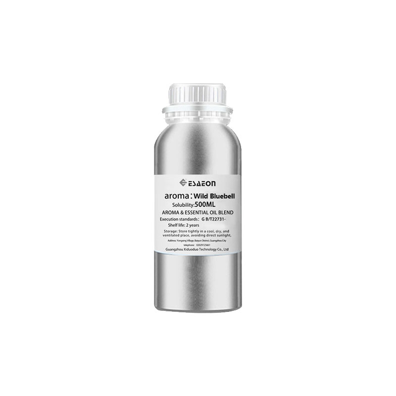 ESAEON 500ml (16.9 fl.oz) Reve - Essential Oil Diffuser 500Ml 评论和价格