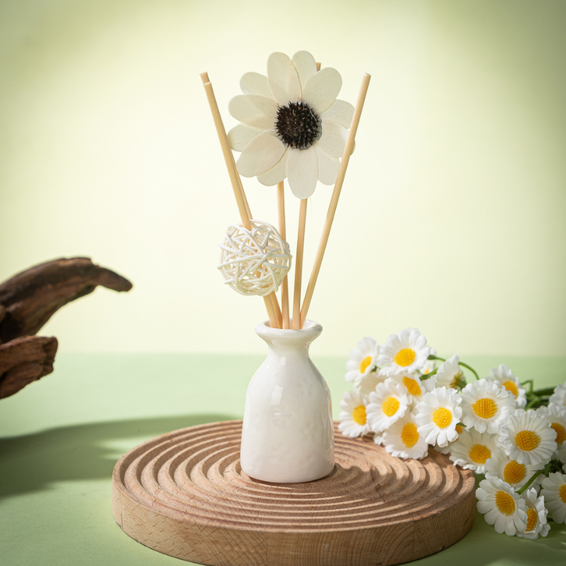 30ml Reed Diffuser Sets Hotel  - Diffuser Reed Sticks Set 评论和价格